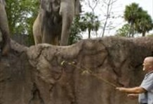 Serengeti Safari Tour